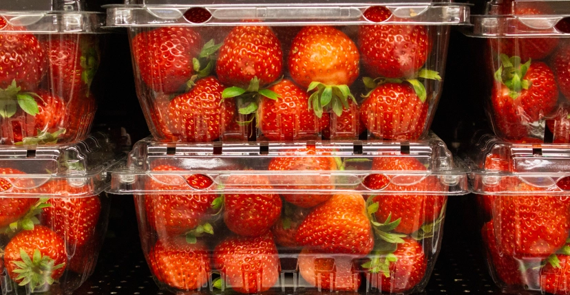 food boxes, packaging for food products, chocolate trays, gift baskets, food boxes packaging